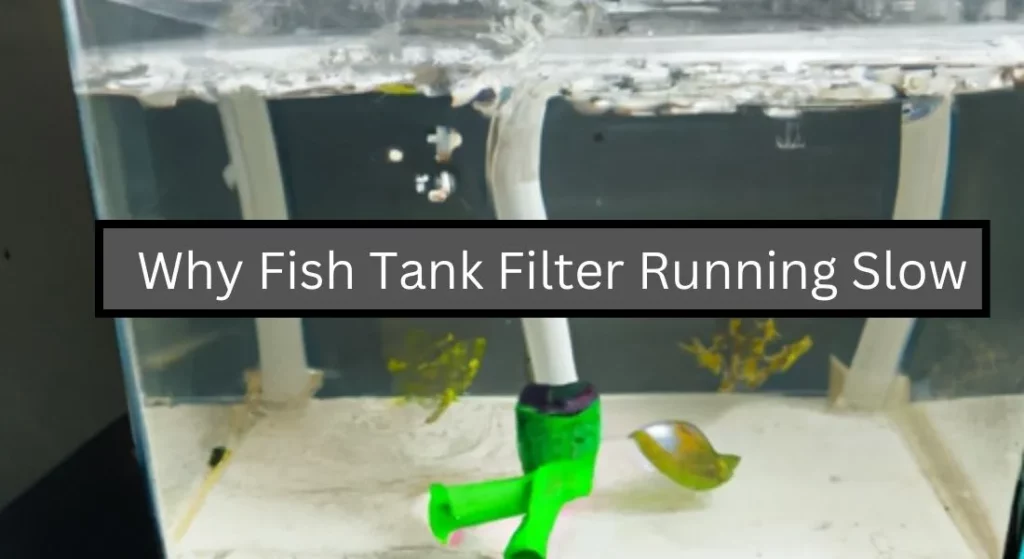Why Fish Tank Filter Running Slow