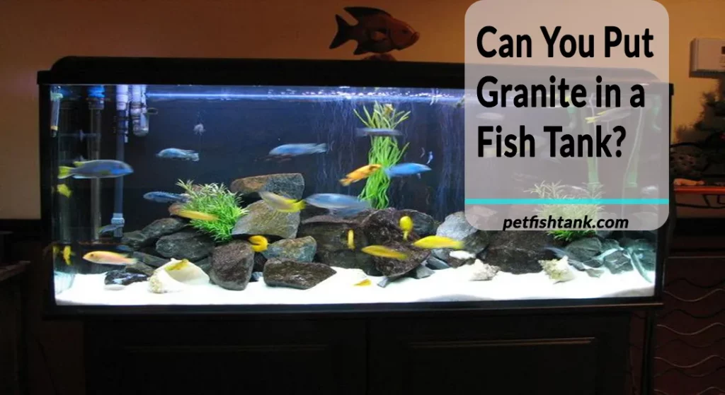 Can You Put Granite in a Fish Tankpsd