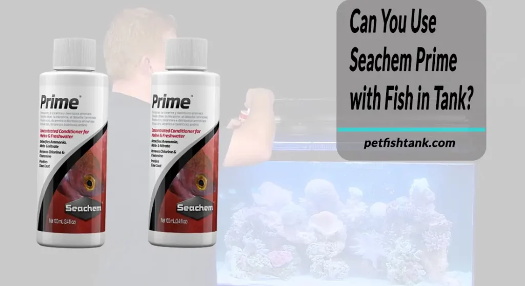 Can You Use Seachem Prime with Fish in Tank