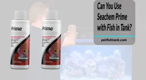 Can You Use Seachem Prime with Fish in Tank