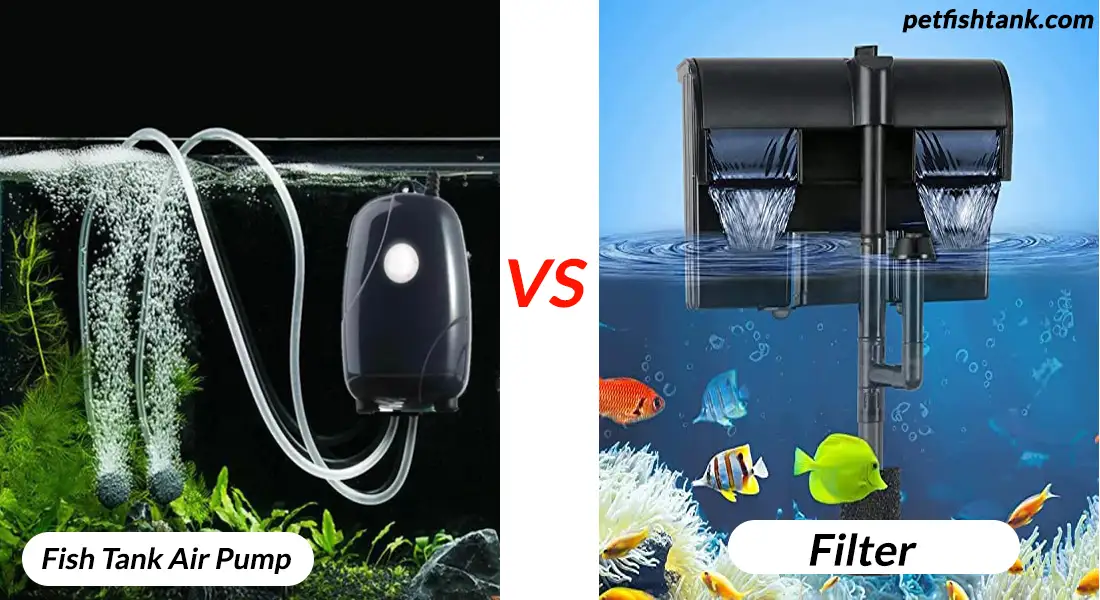 Fish Tank Air Pump Vs Filter: A Detailed Comparison - PetFishTank