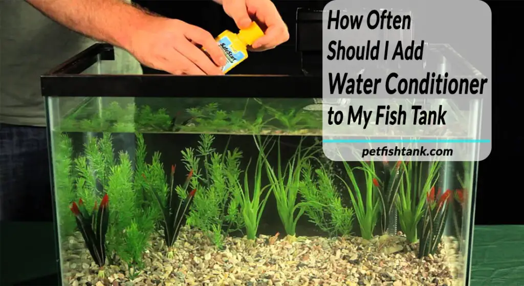 How Often Should I Add Water Conditioner to My Fish Tank